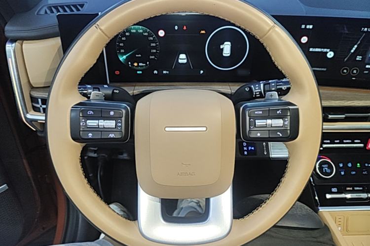 Used Hyundai Santa Fe 2024 2.0T Connoisseur Ultra Steering Wheel