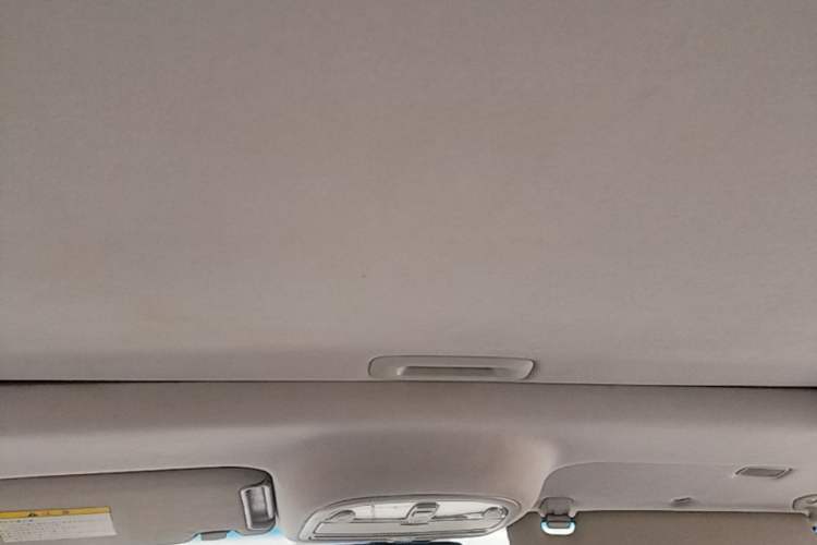 Used Hyundai Santa Fe Classic 2010 2.4 Ultimate Edition 7-Seater Four-Wheel Drive Headliner