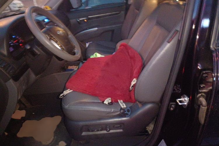 Used Hyundai Santa Fe Classic 2010 2.4 Ultimate Edition 7-Seater Four-Wheel Drive Left Front Seat