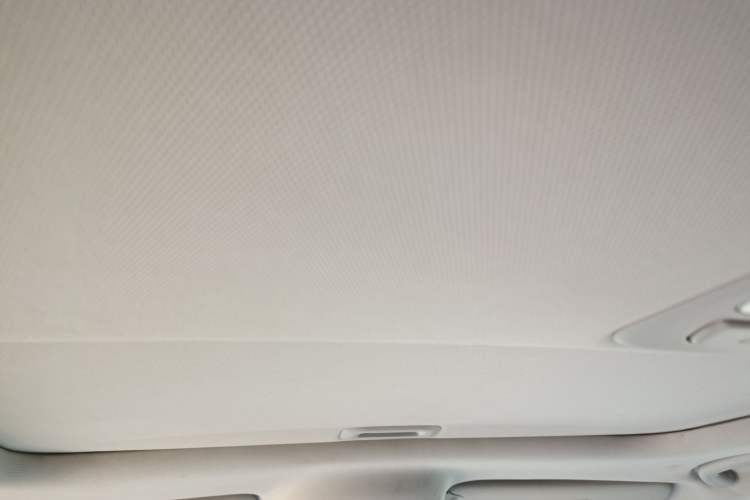Used Hyundai Santa Fe Classic 2010 2.4 Ultimate Edition 7-Seater Four-Wheel Drive Headliner