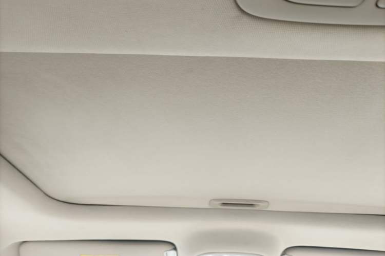Used Hyundai Santa Fe Classic 2011 2.4 Comfort Edition 7-Seater Two-Wheel Drive Headliner