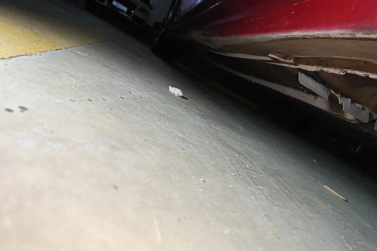 Used Hyundai Sonata 2011 2.0L Automatic Supreme Edition Chassis Rear Left