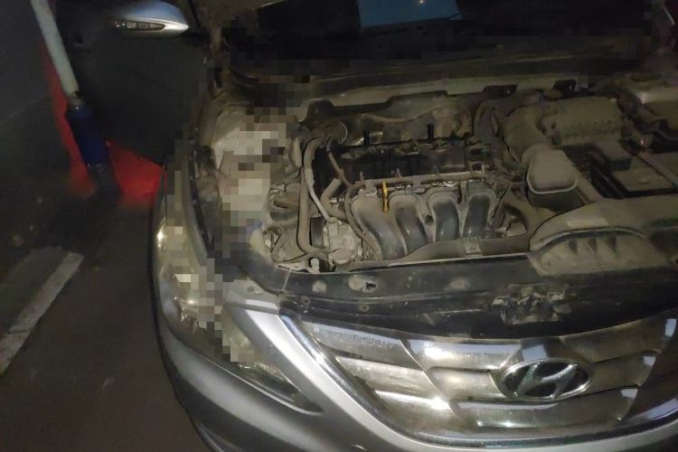 Used Hyundai Sonata 2011 2.0L Automatic Luxury Edition Engine Bay Right