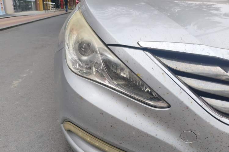 Used Hyundai Sonata 2013 2.0L Automatic Prestige Edition Right Front Headlight