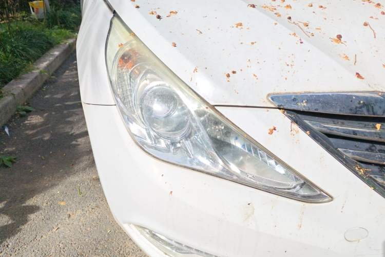 Used Hyundai Sonata 2013 2.0L Automatic Luxury Edition Right Front Headlight