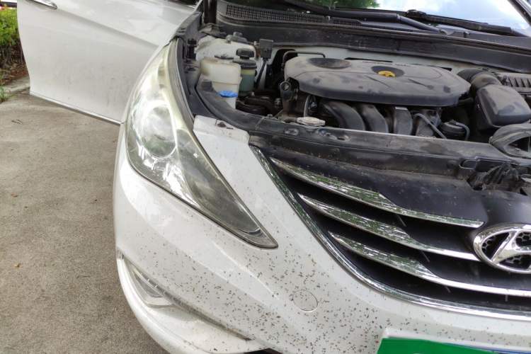 Used Hyundai Sonata 2014 2.0L Automatic Luxury Edition Right Front Headlight