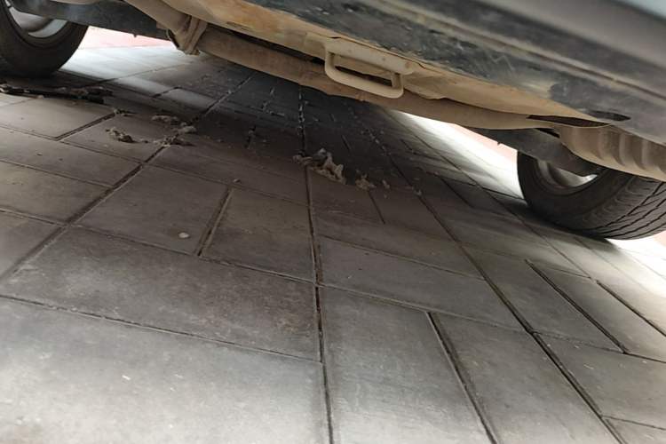 Used Hyundai Sonata 2015 1.6T GX Comfort Model Chassis Rear