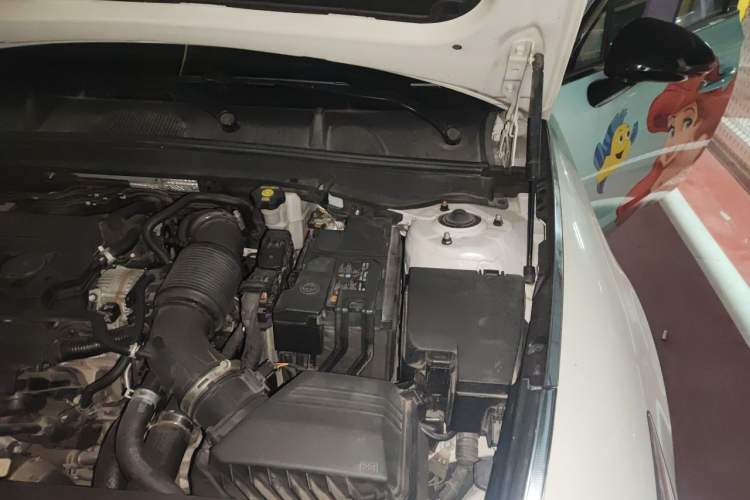 Used Hyundai Sonata 2020 270TGDi DCT GLS Elite Edition Engine Bay Left