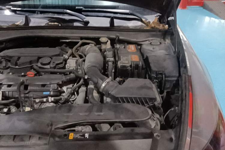 Used Hyundai Sonata 2020 270TGDi DCT GL Advanced Edition Engine Bay Left