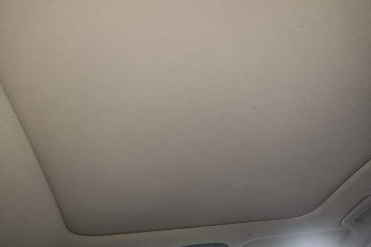 Used Hyundai Sonata 2020 270TGDi DCT GLS Elite Edition Headliner