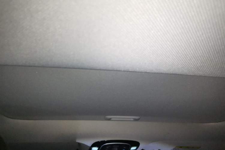 Used Hyundai Sonata 2020 270TGDi DCT GLS Elite Edition Headliner
