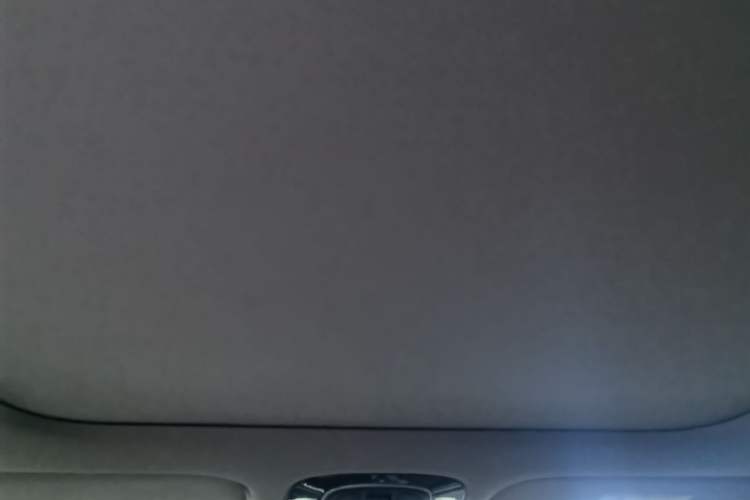Used Hyundai Sonata 2020 270TGDi DCT GLS Elite Edition Headliner