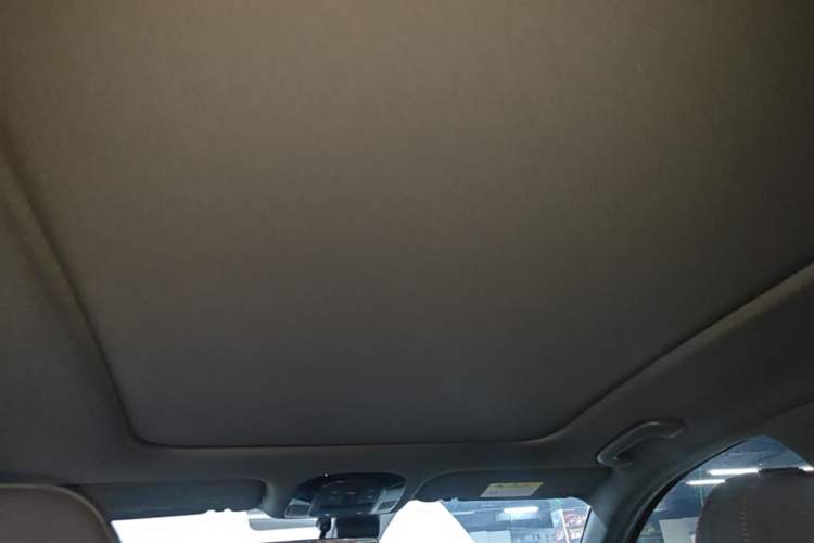 Used Hyundai Sonata 2020 380TGDi Automatic GLS Luxury Edition Headliner