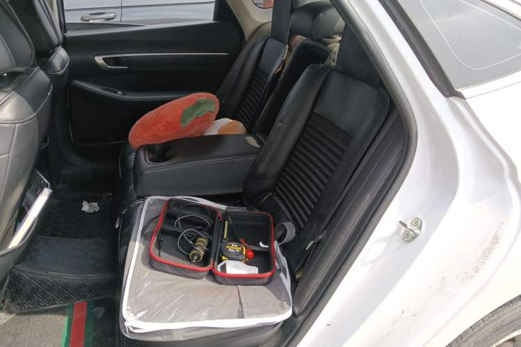 Used Hyundai Sonata 2020 270TGDi DCT GLS Elite Edition Left Rear Seat