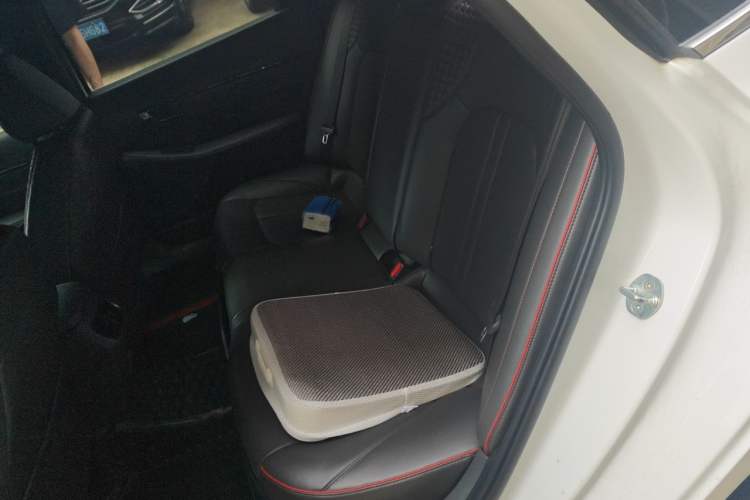 Used Hyundai Sonata 2020 380TGDi Automatic GS Smart Edition Left Rear Seat