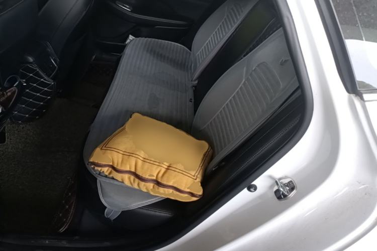 Used Hyundai Sonata 2020 270TGDi DCT GLS Elite Edition Left Rear Seat