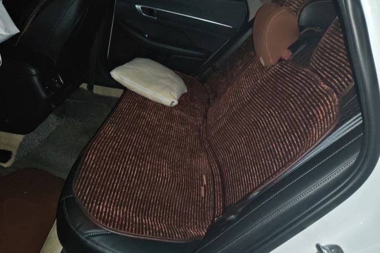 Used Hyundai Sonata 2020 270TGDi DCT GLS Elite Edition Left Rear Seat