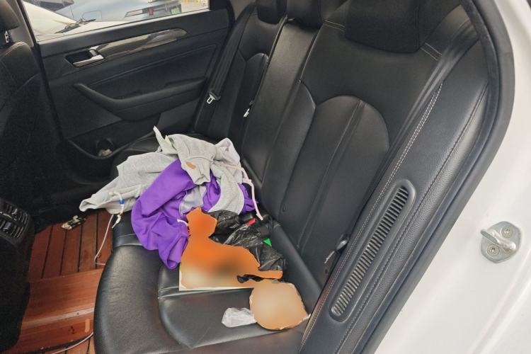 Used Hyundai Sonata Plug-in Hybrid 2018 2.0 PHS Smart Connect Version China VI Standard Left Rear Seat