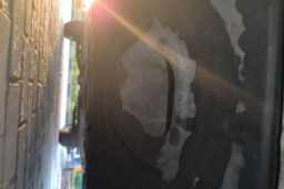 Thumbnail 24