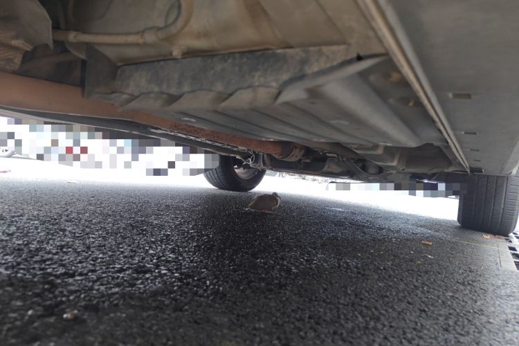 Used Hyundai Tucson 2015 1.6T Dual-Clutch Two-Wheel-Drive Smart Model Chassis Rear Right