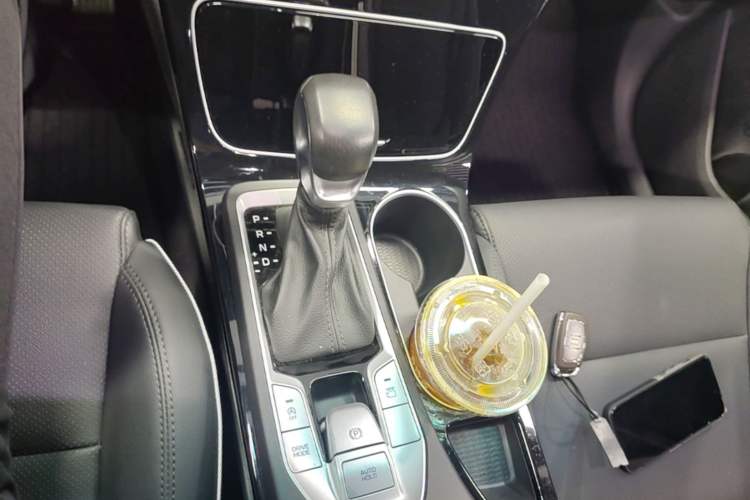 Used Hyundai Tucson 2020 280TGDi Two-Wheel-Drive GLS Smart Connectivity Version China VI Standard Gear Lever