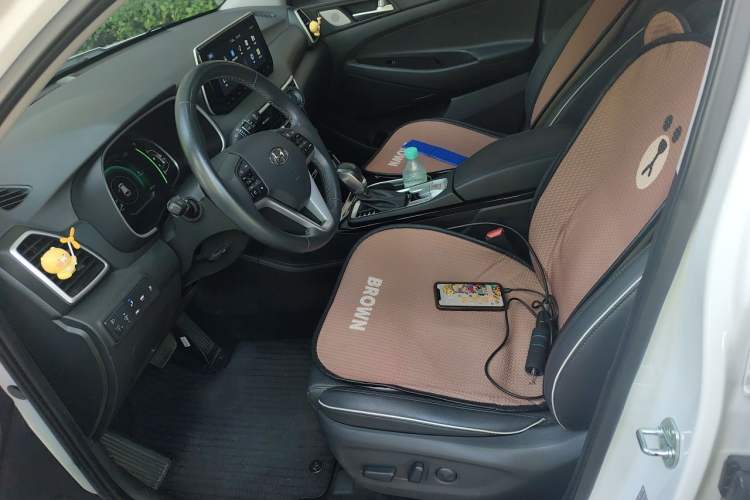 Used Hyundai Tucson 2020 280 TGDi Two-Wheel-Drive DLX Smart Enjoyment Version China VI Standard Left Front Seat