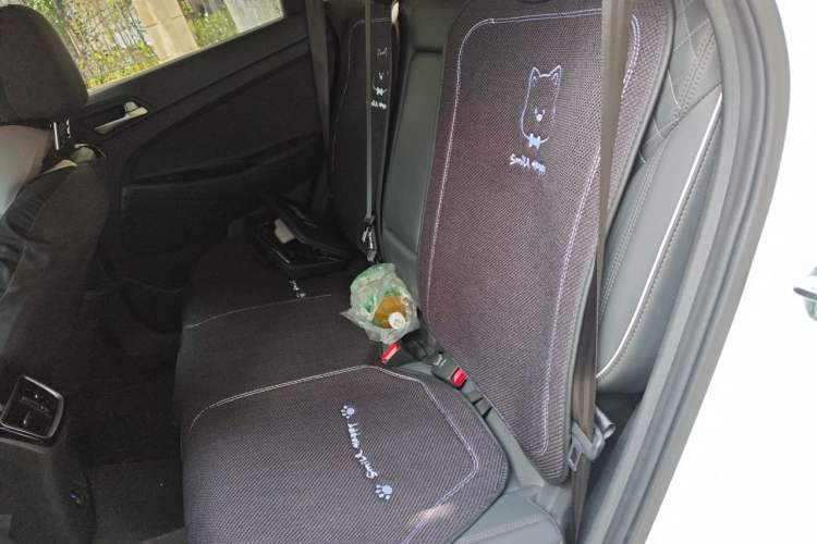 Used Hyundai Tucson 2020 280TGDi Two-Wheel-Drive GLS Fashion Edition China VI Standard Left Rear Seat