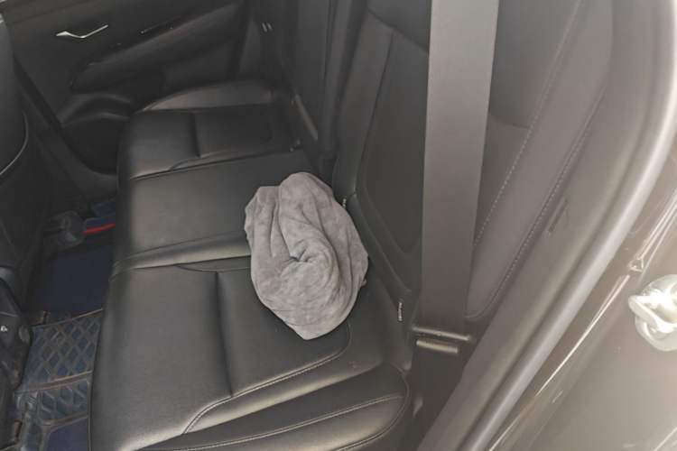 Used Hyundai Tucson 2021 Tucson L 1.5T DCT Luxury Prestige Edition Left Rear Seat