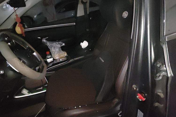 Used Hyundai Tucson 2021 Tucson L 1.5T DCT Luxury Prestige Edition Left Front Seat