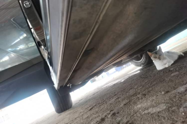 Used Hyundai Tucson 2022 Tucson L 2.0L Hybrid - Prestige Edition Right Side Sill