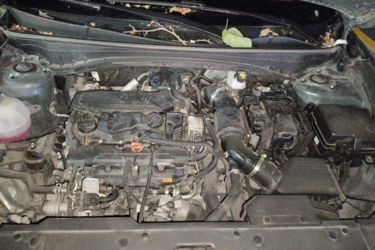 Used Hyundai Tucson 2023 Tucson L 1.5T Automatic Two-Wheel Drive GLX Elite Edition Engine Bay
