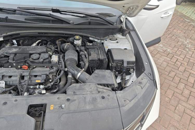 Used Hyundai Tucson 2023 Tucson L 1.5T Automatic Two-Wheel Drive DLX Luxury Edition Engine Bay Left