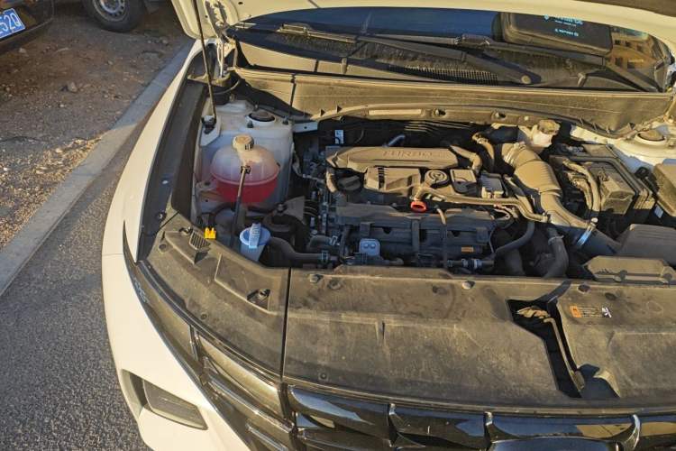 Used Hyundai Tucson 2023 Tucson L 1.5T Automatic Two-Wheel Drive GLX Elite Edition Engine Bay Right