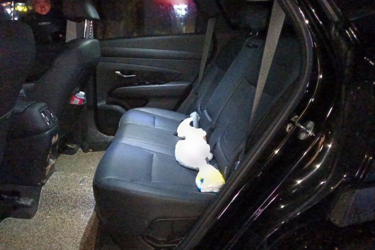 Used Hyundai Tucson 2025 Tucson L 1.5T Prestige Edition Left Rear Seat