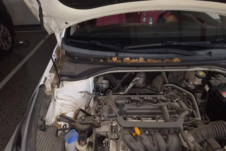 Used Hyundai Verna (new generation) 2016 1.4L Automatic Cool Edition GLS Engine Bay Right