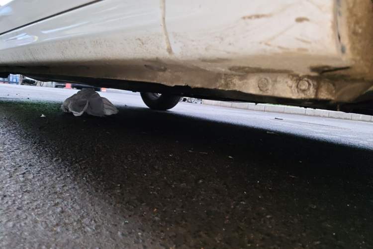 Used Hyundai Verna (new generation) 2020 1.4L Manual GLS Cool Edition Chassis Front Right