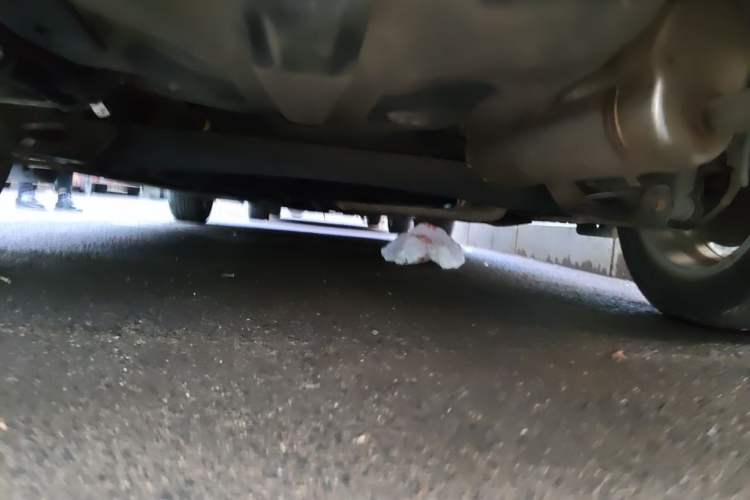 Used Hyundai Verna (new generation) 2020 1.4L Manual GLS Cool Edition Chassis Rear