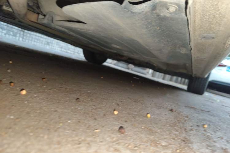 Used Hyundai Verna (new generation) 2020 1.4L CVT GLS Cool Edition Chassis Rear Right
