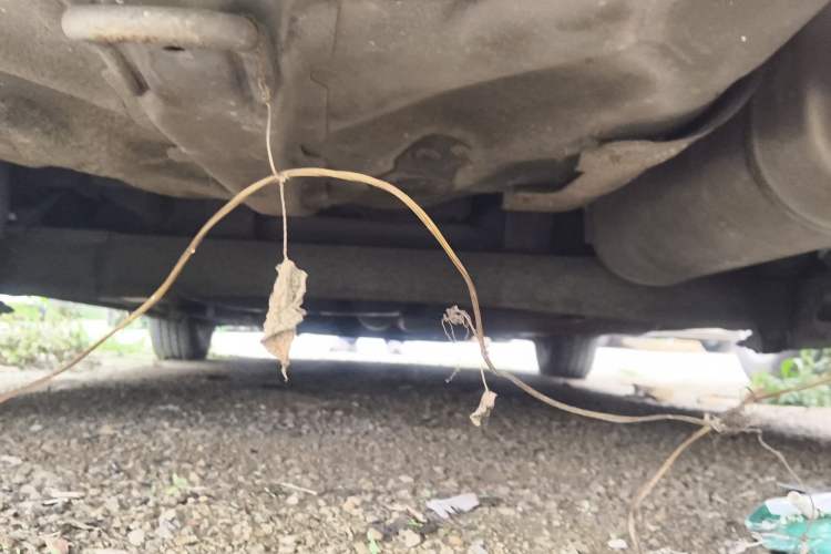 Used Hyundai Verna (older generation) 2010 Sedan 1.4L Automatic Fashionable GT Model Chassis Rear