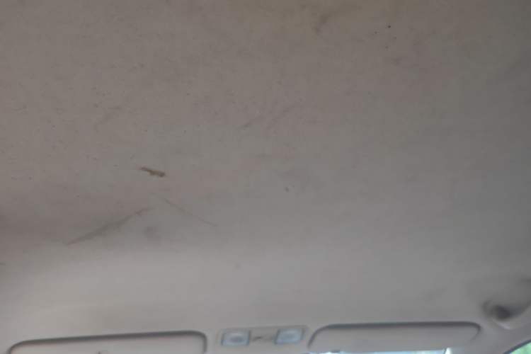 Used Hyundai Verna (older generation) 2010 Sedan 1.4L Manual Comfort GS Headliner