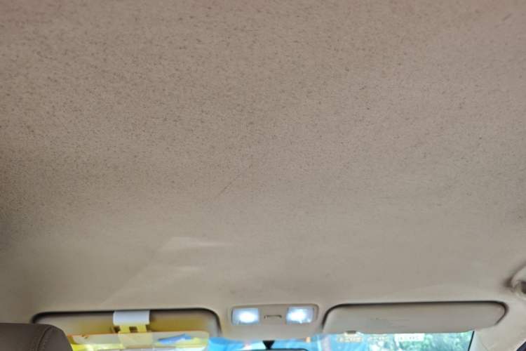 Used Hyundai Verna (older generation) 2010 Sedan 1.4L Manual Comfort GS Headliner