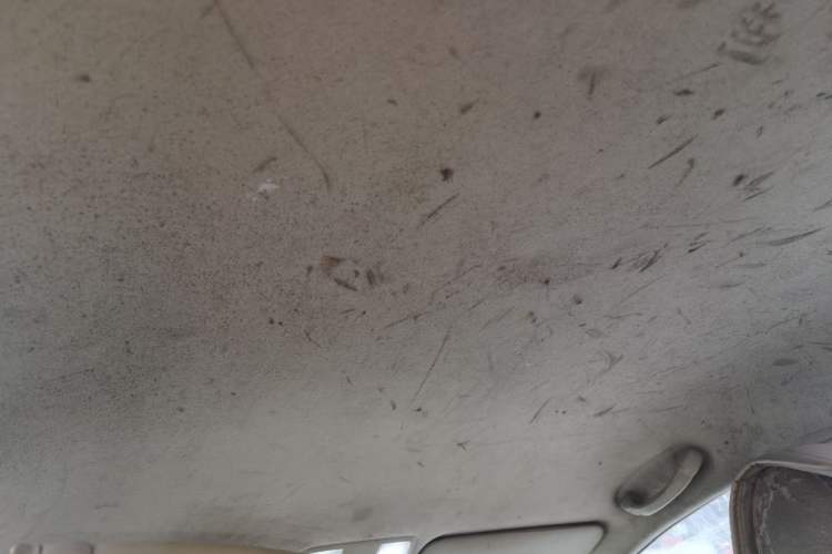Used Hyundai Verna (older generation) 2010 Sedan 1.4L Manual Comfort GS Headliner
