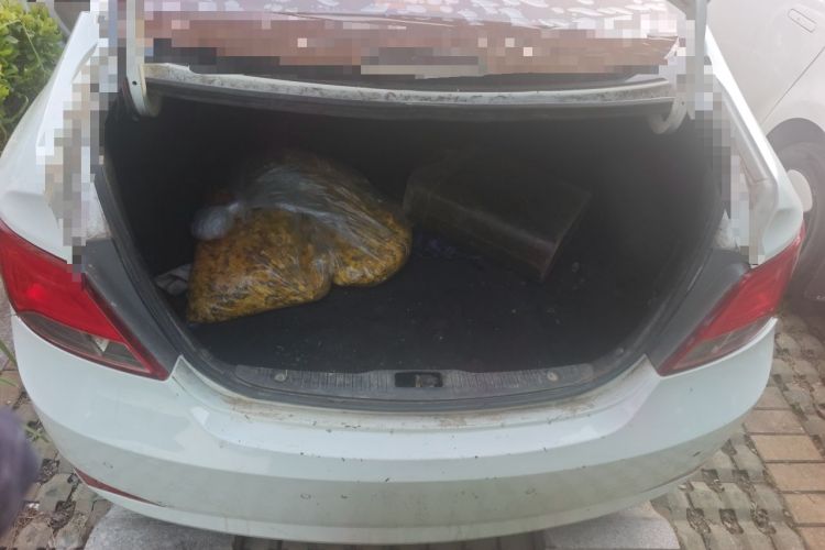 Used Hyundai Verna (older generation) 2014 1.4L Manual Smart GLS Trim Trunk
