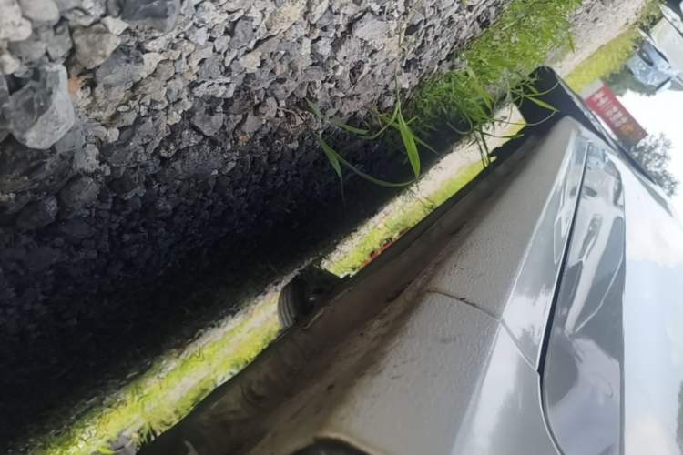 Used Hyundai Verna (older generation) 2020 1.4L Manual GL Refreshed Edition Right Side Sill