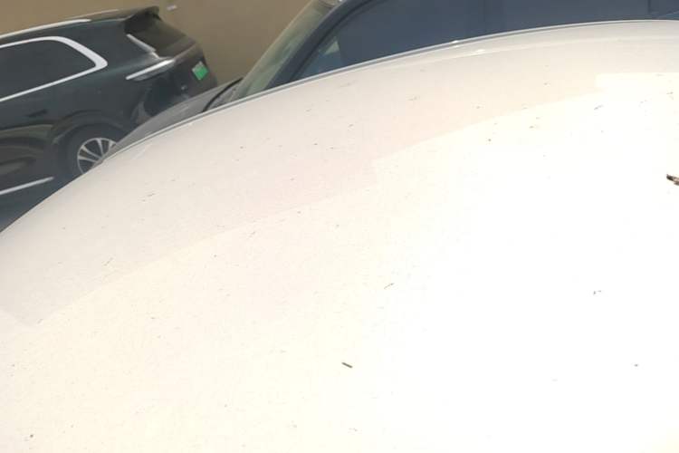 Used Hyundai Verna (older generation) 2020 1.4L Manual GL Refreshed Edition Roof