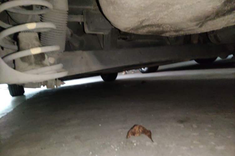 Used Hyundai Verna Ray 2014 1.4L Automatic GLX Chassis Rear Left