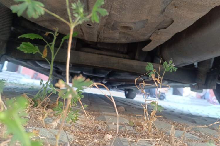 Used Hyundai Verna Ray 2014 1.4L Manual GLX Chassis Rear