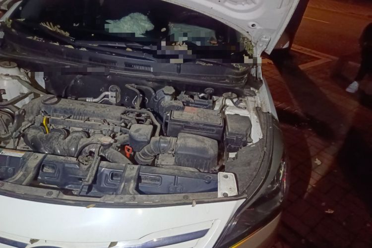 Used Hyundai Verna Ray 2014 1.4L Automatic GLX Engine Bay Left
