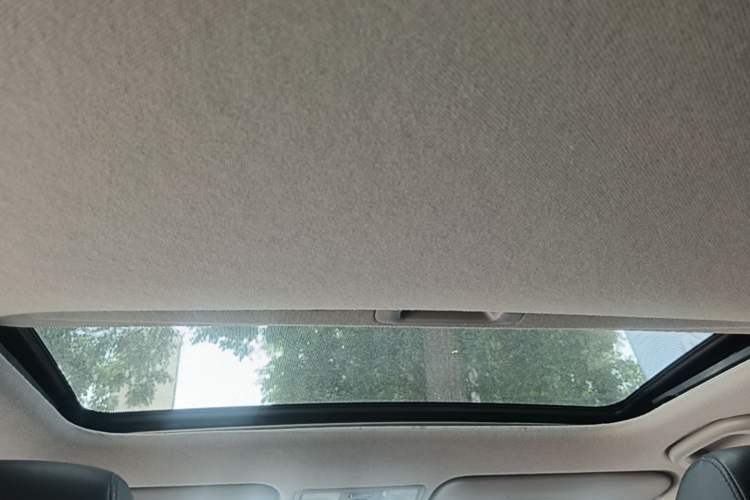 Used Hyundai Verna Ray 2016 1.4L Automatic Leading-Edge GLX Headliner