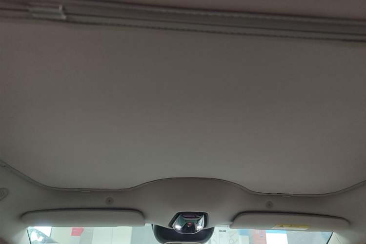 Used IM L6 2024 Max Standard Edition Headliner